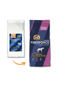 Cavalor Special Care - Fiber Force Gastro Voeding - Maddelin Equestrian Cavalor