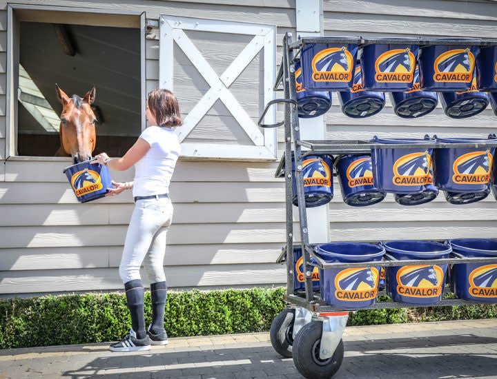 Cavalor Special Care - Mash & Mix Voeding - Maddelin Equestrian Cavalor