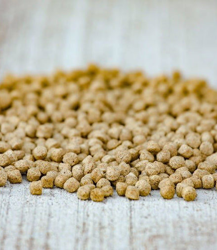 Cavalor Start & Go Soft Voeding - Maddelin Equestrian Cavalor