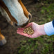 Cavalor Start & Go Soft Voeding - Maddelin Equestrian Cavalor