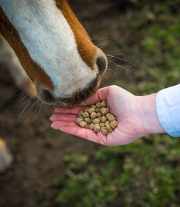 Cavalor Start & Go Soft Voeding - Maddelin Equestrian Cavalor