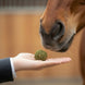 Cavalor Strucies 1.5 kg Snoepjes en likstenen - Maddelin Equestrian Cavalor