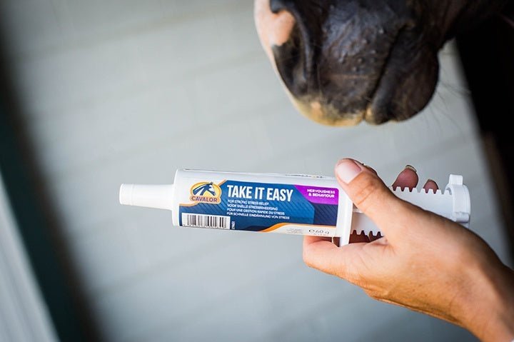 Cavalor Take it Easy Paste 1 x 60g Voedingssupplementen - Maddelin Equestrian Cavalor