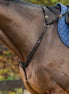 Dy'on Bridge Breastplate D Collection