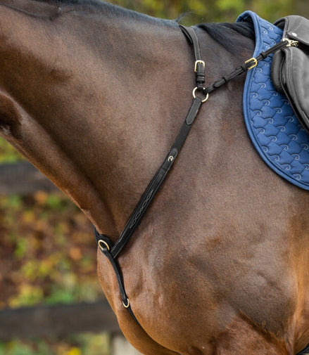 Dy'on Bridge Breastplate D Collection