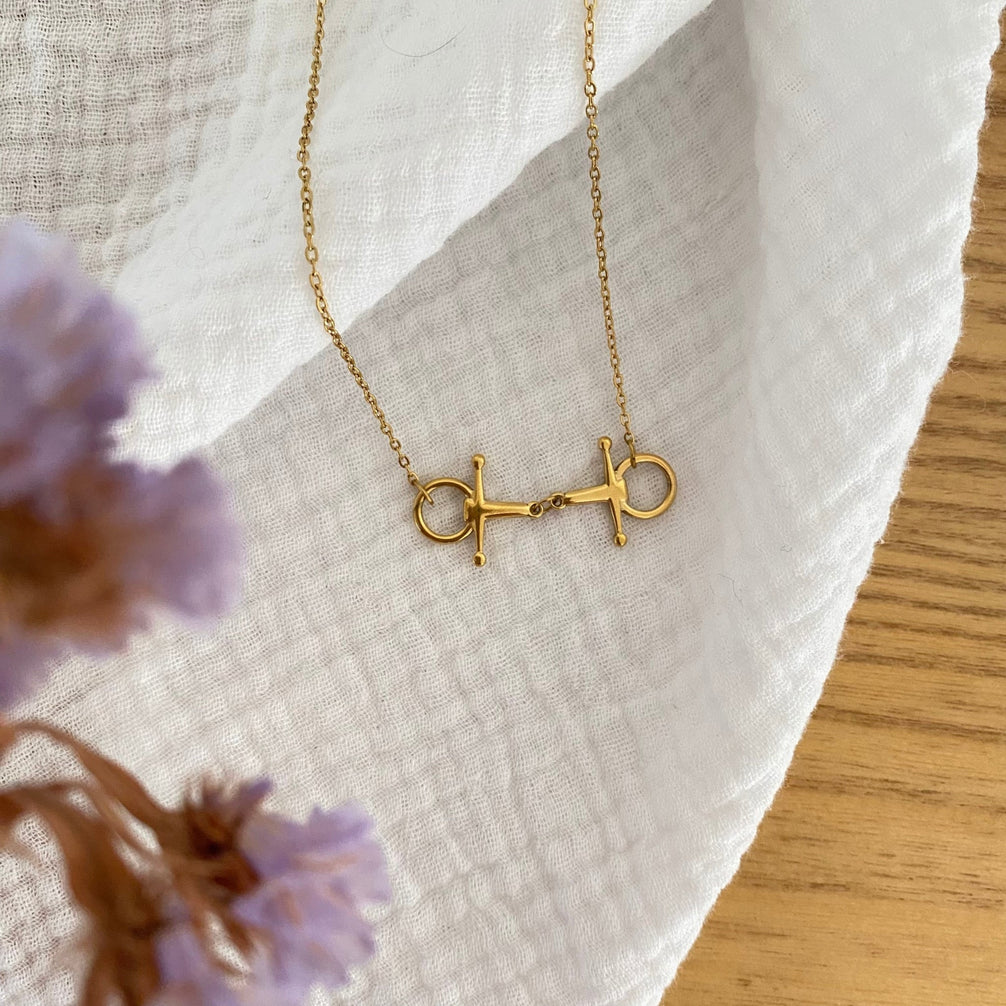 Equestrian Jewelry ketting Cisko met hanger in de vorm van een knebeltrens, in zilver en goud
