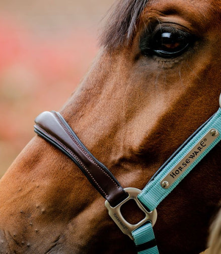 Licol de compétition Horseware Signature