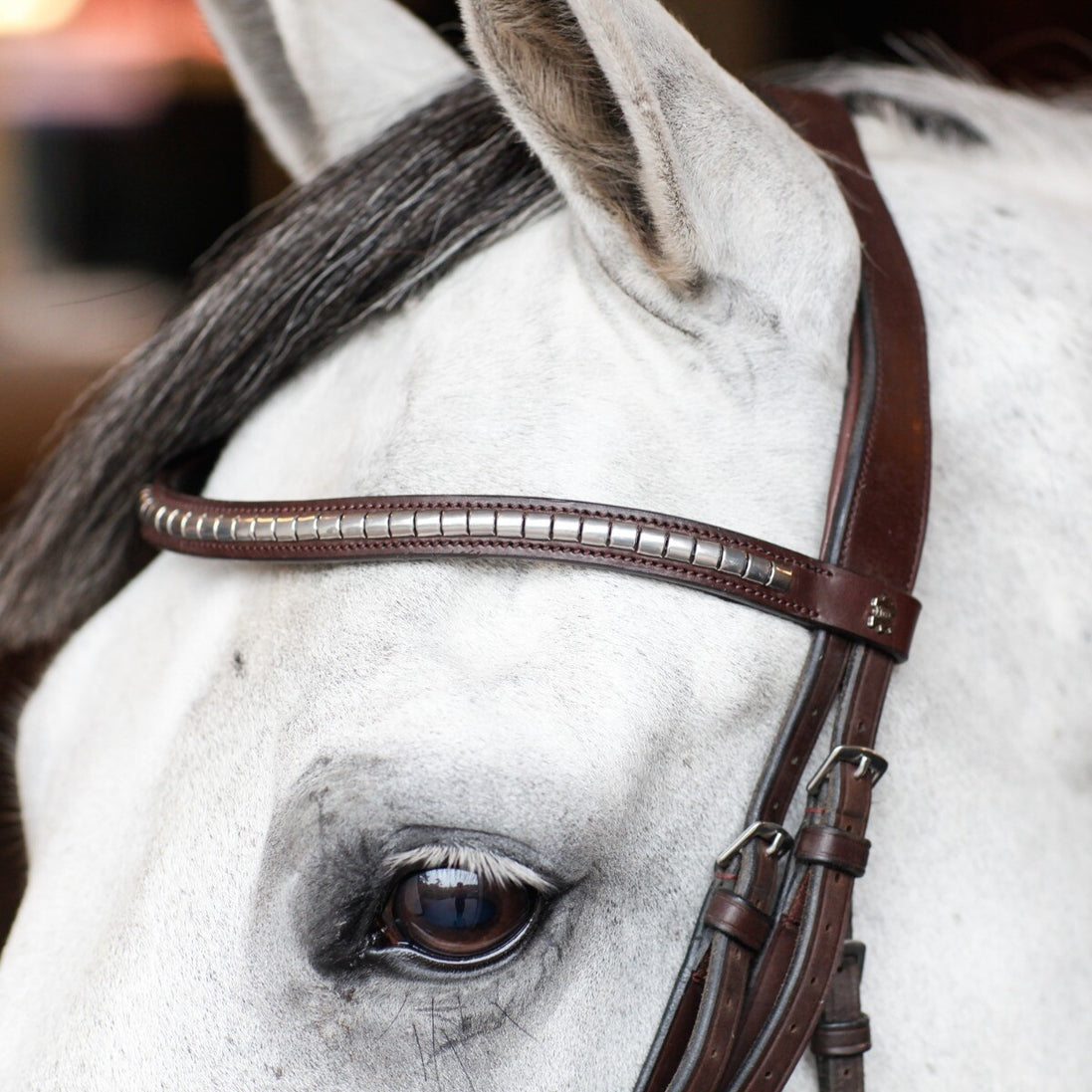 Döbert Curved Browband Clincer Full Black