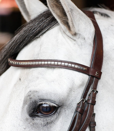 Döbert Curved Browband Clincer Full Black