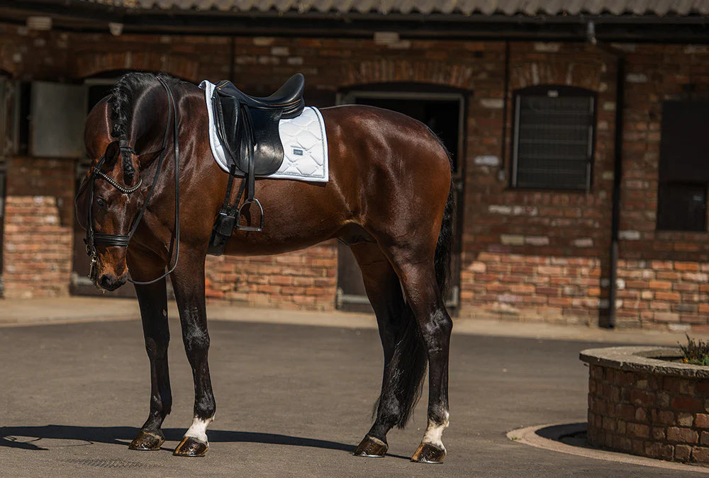 Equestrian Stockholm Zadeldoek Silver White Perfection