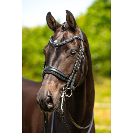 HB Showtime Tout ce dont vous aviez besoin - Snaffle