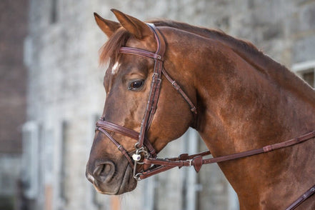 Dy'on 1/2 Converter Rubber Teugels met 7 Lederen Stops Teugels - Maddelin Equestrian Dy on