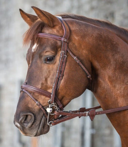 Dy'on 1/2 Converter Rubber Teugels met 7 Lederen Stops Teugels - Maddelin Equestrian Dy on