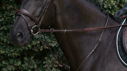 Dy'on 1/2 Rubber Teugels Hunter Teugels - Maddelin Equestrian Dy on