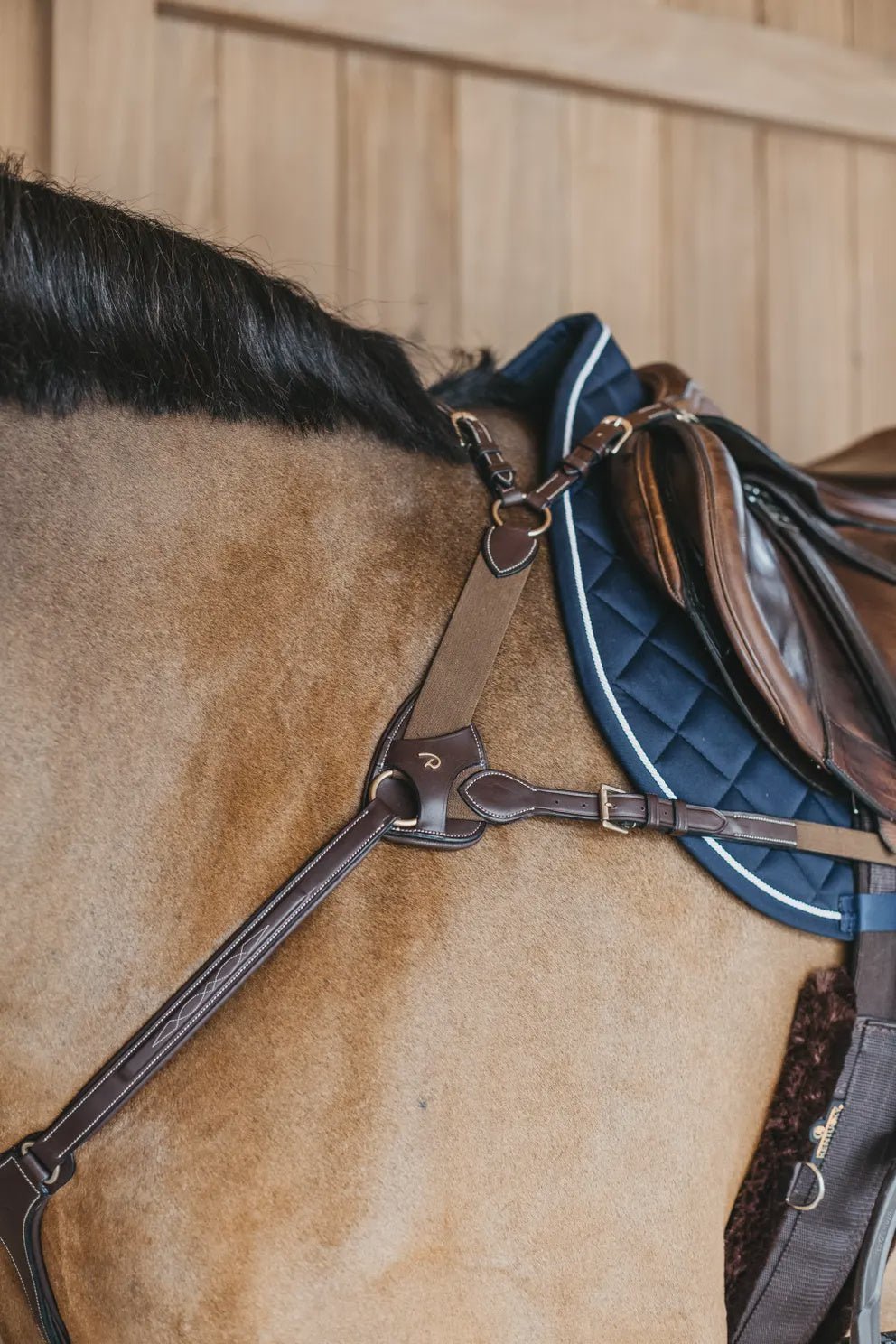 Dy'on 5 Punten Borsttuig met Elastiek Borstriemen en martingalen - Maddelin Equestrian Dy on