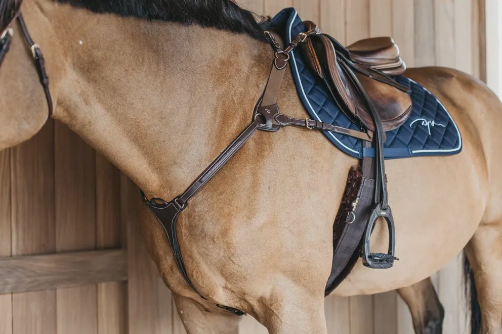 Dy'on 5 Punten Borsttuig met Elastiek Borstriemen en martingalen - Maddelin Equestrian Dy on