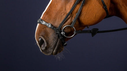 Dy'on Adjustable Drop Noseband Black Cob Neusriemen & Co - Maddelin Equestrian Dy on