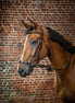 Dy'on Adjustable Drop Noseband Hoofdstel Trenshoofdstellen - Maddelin Equestrian Dy on