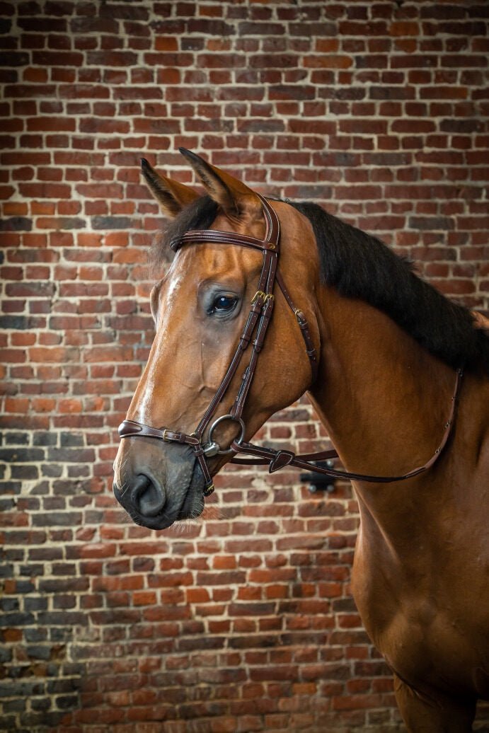 Dy'on Adjustable Drop Noseband Hoofdstel Trenshoofdstellen - Maddelin Equestrian Dy on