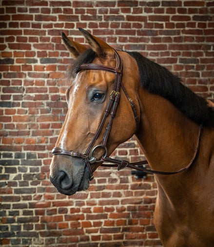 Dy'on Adjustable Drop Noseband Hoofdstel Trenshoofdstellen - Maddelin Equestrian Dy on