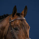Dy'on Anatomic Browband Hunter Frontriemen - Maddelin Equestrian Dy on