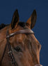 Dy'on Anatomic Browband Hunter Frontriemen - Maddelin Equestrian Dy on