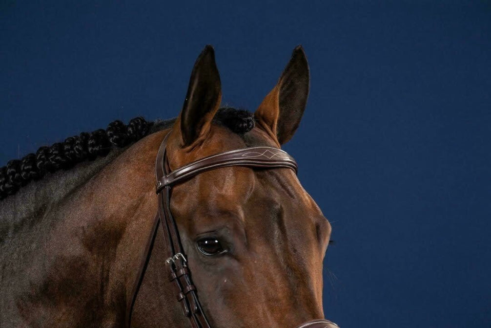 Dy'on Anatomic Browband Hunter Frontriemen - Maddelin Equestrian Dy on