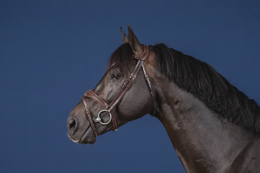 Dy'on Anatomic Flash Noseband Hoofdstel Hunter Trenshoofdstellen - Maddelin Equestrian Dy on