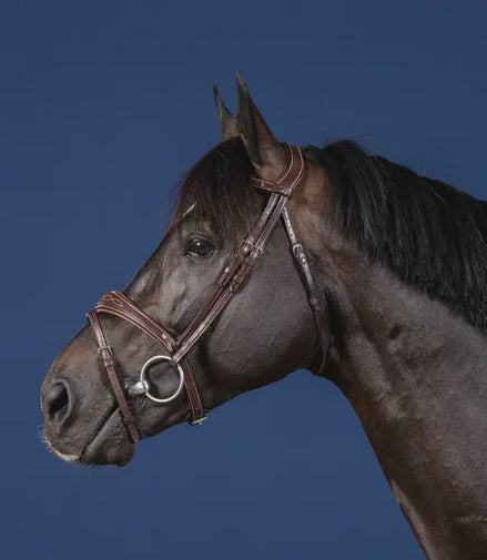 Dy'on Anatomic Flash Noseband Hoofdstel Hunter Trenshoofdstellen - Maddelin Equestrian Dy on