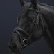 Dy'on Anatomic Flash Noseband Hoofdstel Hunter Trenshoofdstellen - Maddelin Equestrian Dy on
