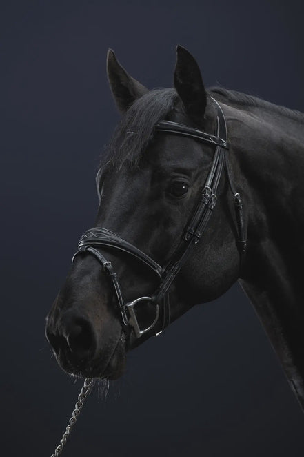 Dy'on Anatomic Flash Noseband Hoofdstel Hunter Trenshoofdstellen - Maddelin Equestrian Dy on