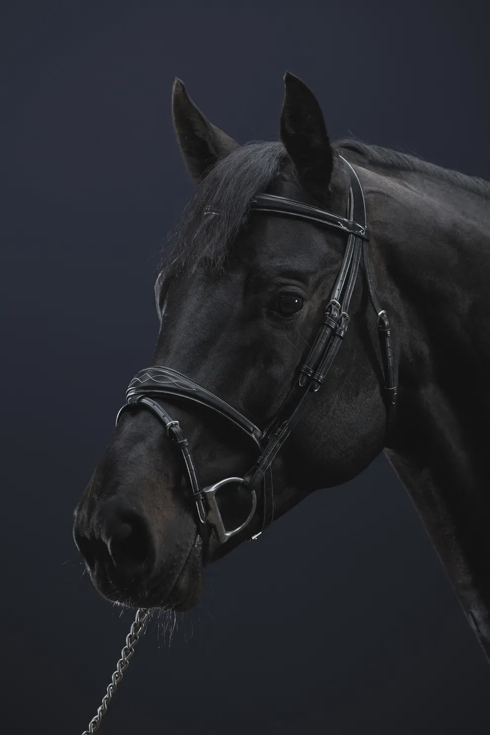 Dy'on Anatomic Flash Noseband Hoofdstel Hunter Trenshoofdstellen - Maddelin Equestrian Dy on