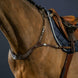 Dy'on Anatomical Breastplate D Collection Borstriemen en martingalen - Maddelin Equestrian Dy on