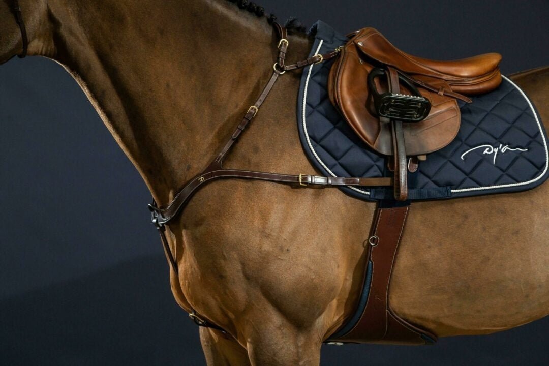 Dy'on Anatomical Breastplate D Collection Borstriemen en martingalen - Maddelin Equestrian Dy on