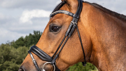 Dy'on Bakstuk Rond Toebehoren hoofdstellen - Maddelin Equestrian Dy on