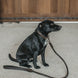 Dy'on Braided Dog Leash Brown 1m Dogwear - Maddelin Equestrian Dy on