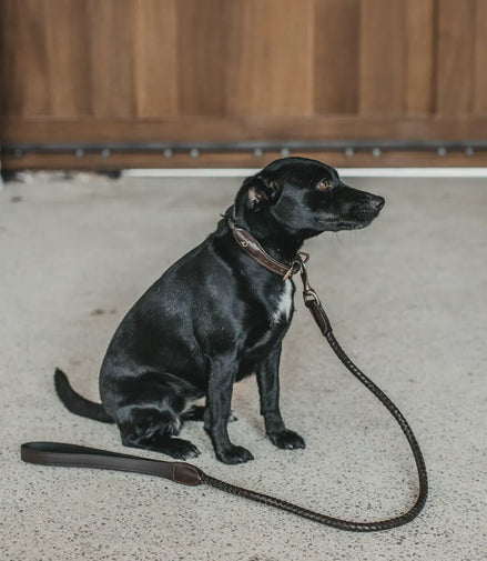 Dy'on Braided Dog Leash Brown 1m Dogwear - Maddelin Equestrian Dy on