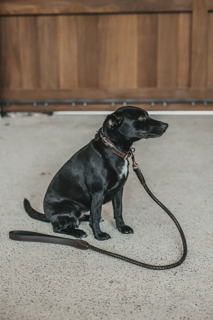 Dy'on Braided Dog Leash Brown 1m Dogwear - Maddelin Equestrian Dy on