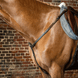 Dy'on Breastplate D Collection Borstriemen en martingalen - Maddelin Equestrian Dy on