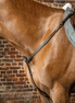 Dy'on Breastplate D Collection Borstriemen en martingalen - Maddelin Equestrian Dy on