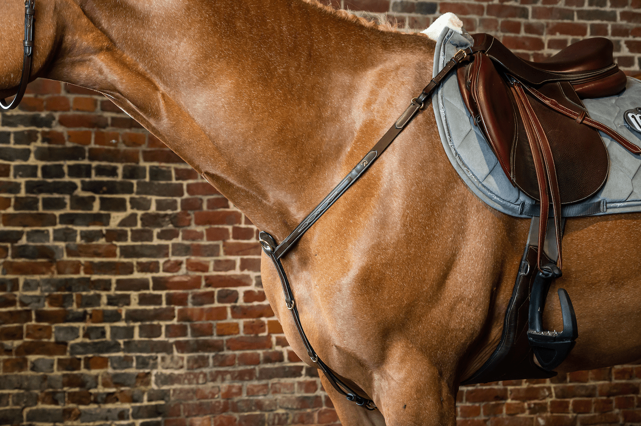 Dy'on Breastplate D Collection Borstriemen en martingalen - Maddelin Equestrian Dy on