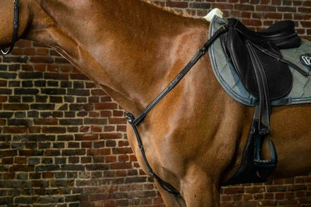 Dy'on Breastplate D Collection Borstriemen en martingalen - Maddelin Equestrian Dy on