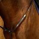 Dy'on Breastplate Working Collection Borstriemen en martingalen - Maddelin Equestrian Dy on