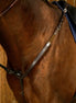 Dy'on Breastplate Working Collection Borstriemen en martingalen - Maddelin Equestrian Dy on