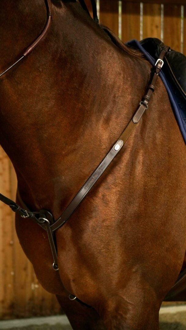 Dy'on Breastplate Working Collection Borstriemen en martingalen - Maddelin Equestrian Dy on