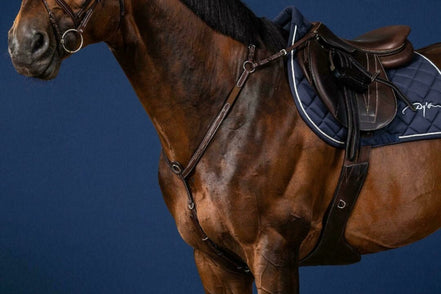 Dy'on Bridge Breastplate US Collection Borstriemen en martingalen - Maddelin Equestrian Dy on