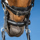 Dy'on Chain Protection With Neoprene Toebehoren bitten - Maddelin Equestrian Dy on