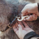 Dy'on Classic Dog Leash Dogwear - Maddelin Equestrian Dy on