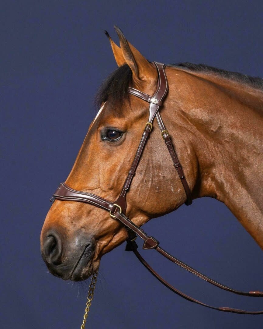 Dy'on D Motion Hoofdstel Bitloos - Maddelin Equestrian Dy on