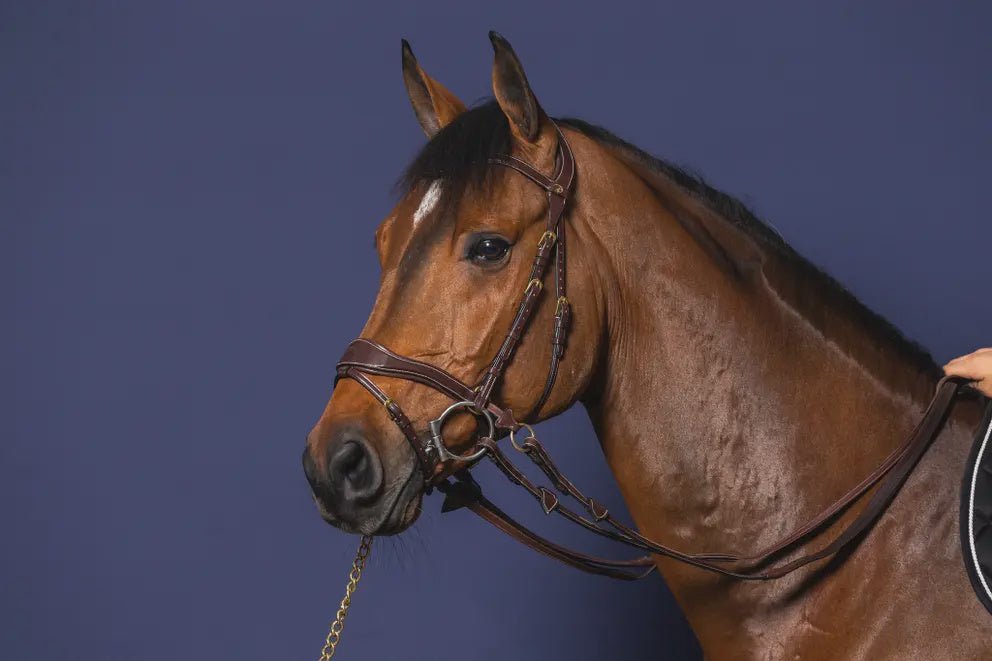 Dy'on D Motion Hoofdstel Bitloos - Maddelin Equestrian Dy on